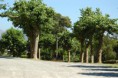 /album/fotogaleria/dsc-4863-jpg/