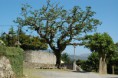 /album/fotogaleria/dsc-4864-jpg/